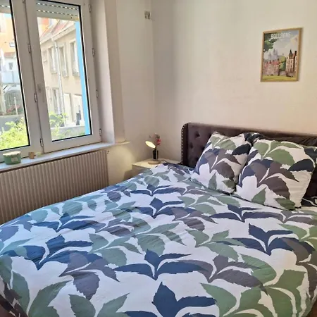 Sauna Et Cosy 50 M2 Avec Parking Prive Et Vue