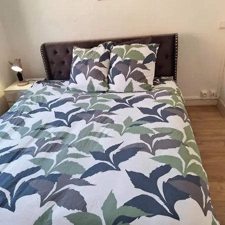 Sauna Et Cosy 50 M2 Avec Parking Prive Et Vue *