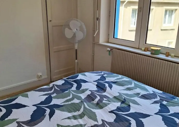 Sauna Et Cosy 50 M2 Avec Parking Prive Et Vue